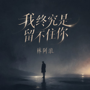 我终究是留不住你 by 林阿浪