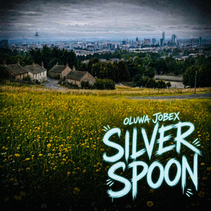 Silver Spoon by Oluwa Jobex