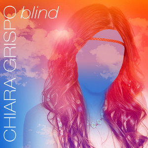 Blind cover