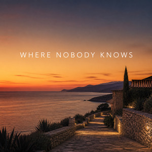 WHERE NOBODY KNOWS by Harmonic Disorder