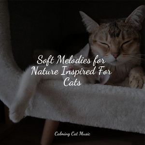 Soft Melodies for Nature Inspired For Cats album