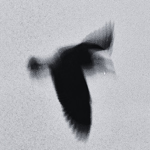 Searching the Sky