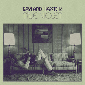 Up and Down a Mountain by Rayland Baxter