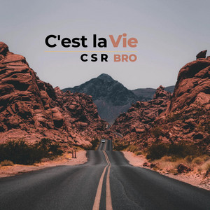 C'est la vie by C S R BRO, Stef