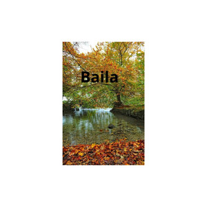 Baila by Rose of melody