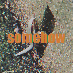 zarabanshi - Somehow