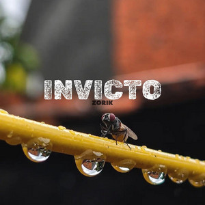 INVICTO by ZORIK