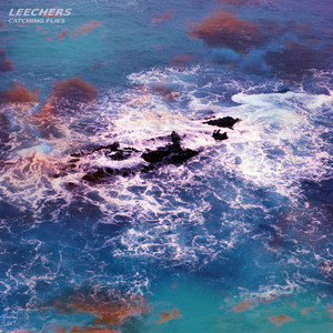 Catching Flies by Leechers