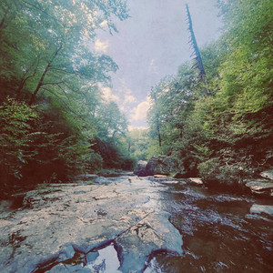 New Man by Coral Bank Hollow