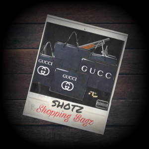 Shopping Bagz by Shotz