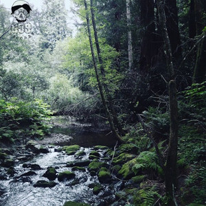 Meet Me Where the River Turns Grey album