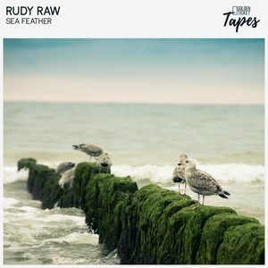 Sea Feather by Rudy Raw, Golden Ticket Tapes