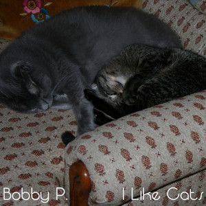 I Like Cats