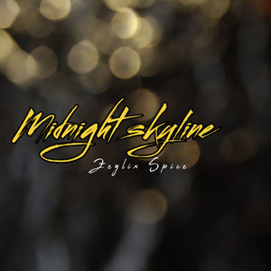 Midnight skyline by Zeylix Spice