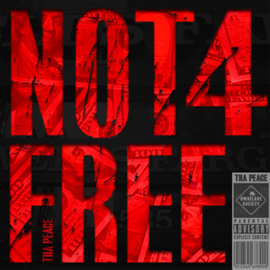 Nall Fr, Not 4 Free cover