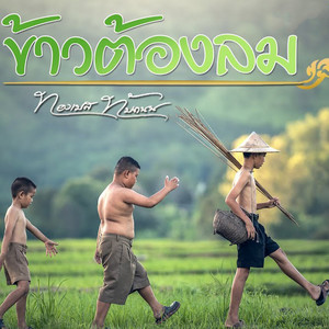 ทองเบส ทับถนน - ลายข้าวต้องลม