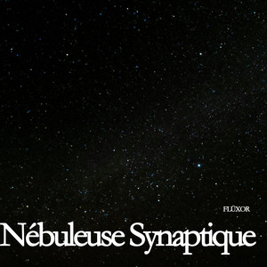 Vide Neuronale by FLÜXOR