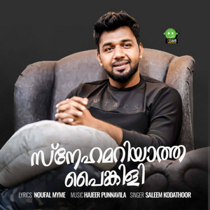 Saleem Kodathoor - Snehamariyatha Painkili