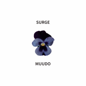 SURGE by MUUDO
