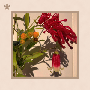 Can't Stop by Flowermarket