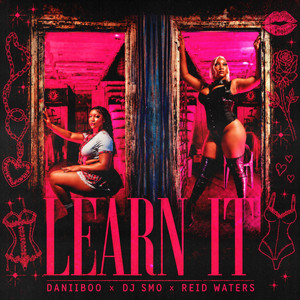 Learn It by Daniiboo, DJ Smo, Reid Waters