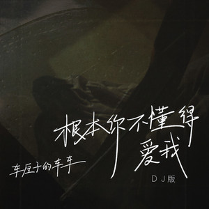 根本你不懂得爱我 - DJ版 by 车厘子的车车