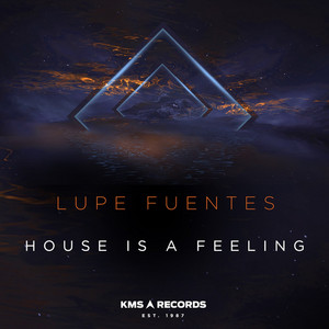 House Is A Feeling cover art