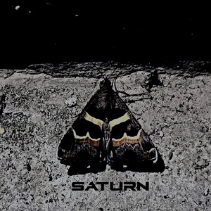 Sattturn