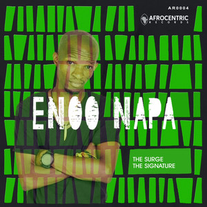 The Signature by Enoo Napa cover art