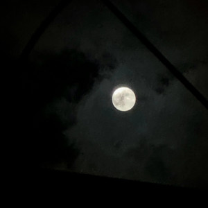 Gentle Night Skies by Lily Esher