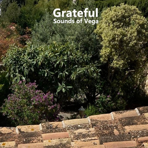 Grateful by Sounds of Vega