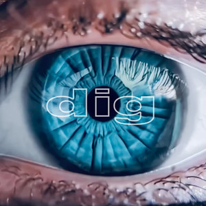 i.m.o. by Dig