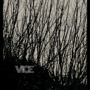 Vice by Anybis