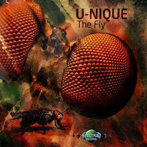 Portada de The Fly
