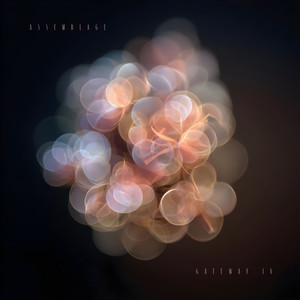 Assemblage by Gateway IV