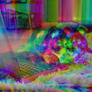 Feelings for Comfortable Hounds album