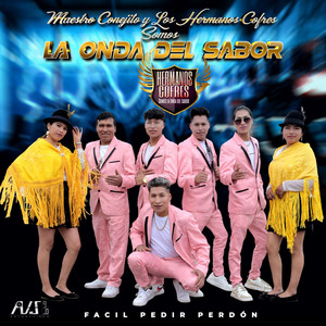 Maestro Conejito y Los Hermanos Cofres - Fácil Pedir Perdón