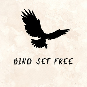 Bird Set Free