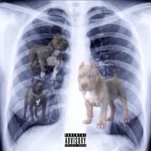 Dawg
