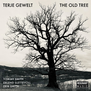 The Old Tree by Terje Gewelt