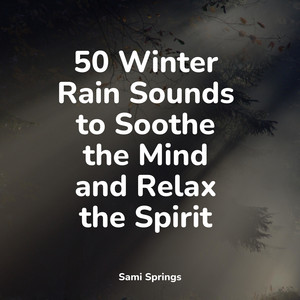 50 Winter Rain Sounds to Soothe the Mind and Relax the Spirit album