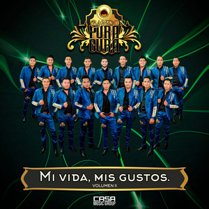 Mi Vida, Mis Gustos, Vol. 2