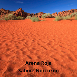 Saborr Nocturno poster