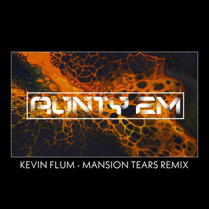 Mansion Tears - AUNTY EM Remix by AUNTY EM