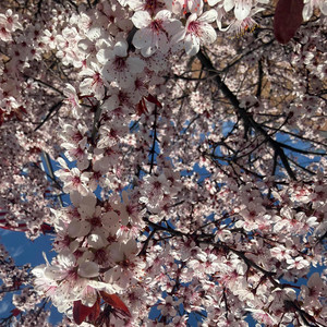 Alright (feat. Koda)