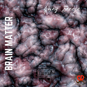 Portada de Brain Matter