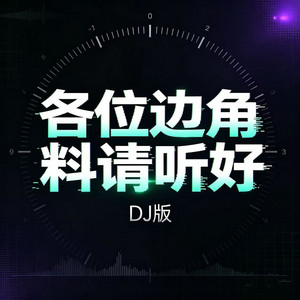 各位边角料请听好 - DJ版 by 进一