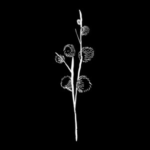 冬花 by Seiko
