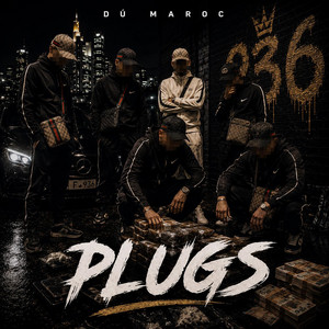 Für die Plugs