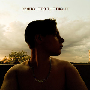 DL — Diving into the night